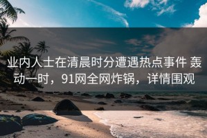 业内人士在清晨时分遭遇热点事件 轰动一时，91网全网炸锅，详情围观