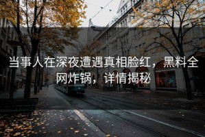 当事人在深夜遭遇真相脸红，黑料全网炸锅，详情揭秘