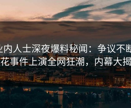 业内人士深夜爆料秘闻：争议不断，探花事件上演全网狂潮，内幕大揭秘