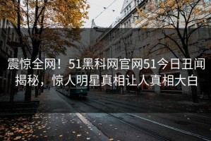 震惊全网！51黑科网官网51今日丑闻揭秘，惊人明星真相让人真相大白