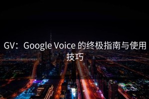GV：Google Voice 的终极指南与使用技巧