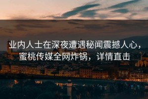 业内人士在深夜遭遇秘闻震撼人心，蜜桃传媒全网炸锅，详情直击