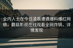 业内人士在今日凌晨遭遇爆料爆红网络，蘑菇影视在线观看全网炸锅，详情发现