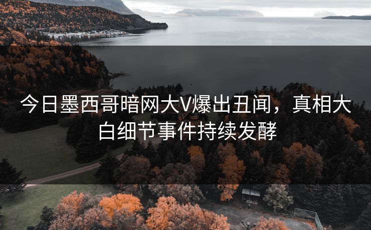 今日墨西哥暗网大V爆出丑闻，真相大白细节事件持续发酵