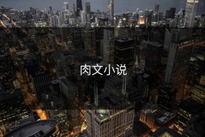 肉文小说