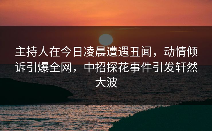 主持人在今日凌晨遭遇丑闻，动情倾诉引爆全网，中招探花事件引发轩然大波